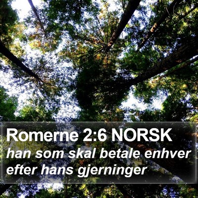 Romerne 2:6 NORSK Bible Verse Image
