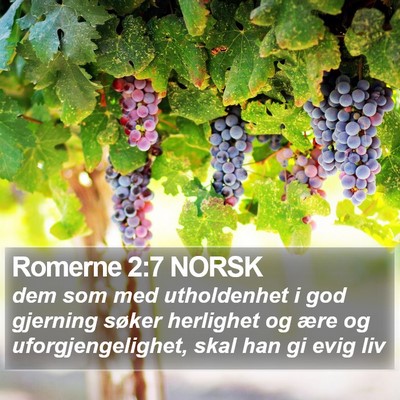 Romerne 2:7 NORSK Bible Verse Image