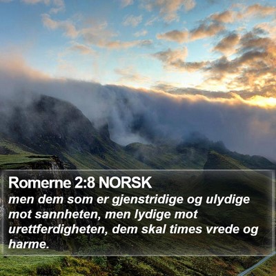 Romerne 2:8 NORSK Bible Verse Image
