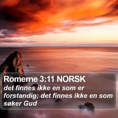 Romerne 3:11 NORSK Bible Verse Image