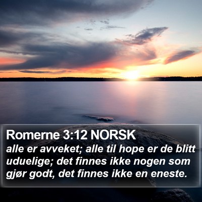 Romerne 3:12 NORSK Bible Verse Image