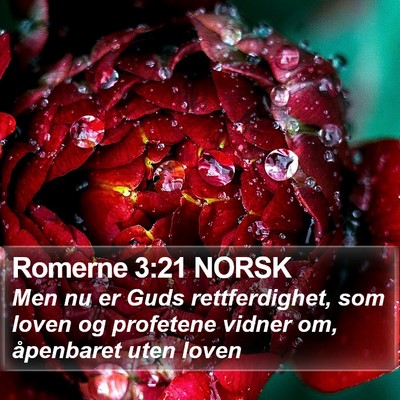 Romerne 3:21 NORSK Bible Verse Image