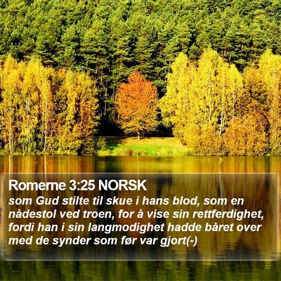 Romerne 3:25 NORSK Bible Verse Image
