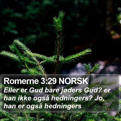Romerne 3:29 NORSK Bible Verse Image