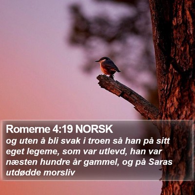 Romerne 4:19 NORSK Bible Verse Image