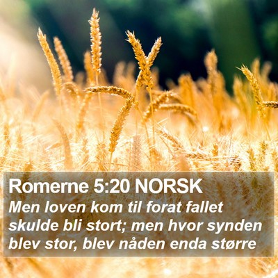 Romerne 5:20 NORSK Bible Verse Image