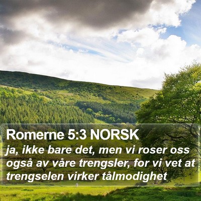 Romerne 5:3 NORSK Bible Verse Image