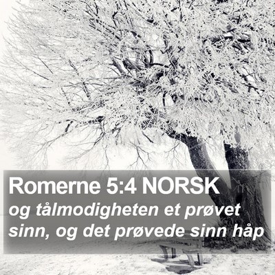 Romerne 5:4 NORSK Bible Verse Image