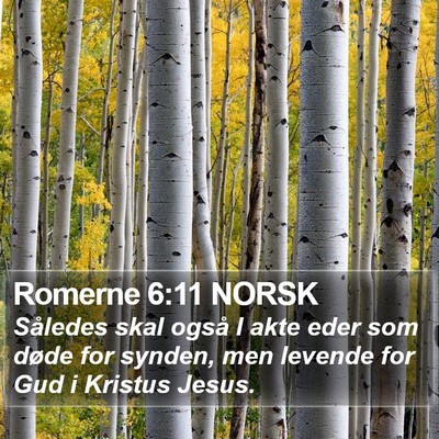Romerne 6:11 NORSK Bible Verse Image
