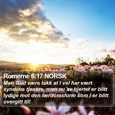 Romerne 6:17 NORSK Bible Verse Image