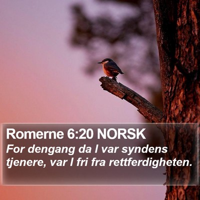 Romerne 6:20 NORSK Bible Verse Image