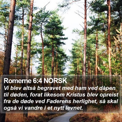 Romerne 6:4 NORSK Bible Verse Image