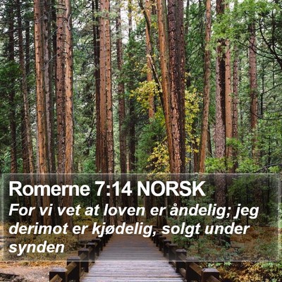 Romerne 7:14 NORSK Bible Verse Image