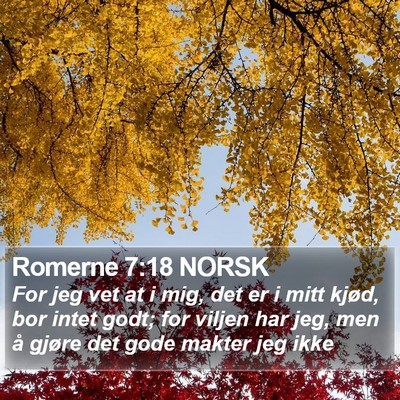 Romerne 7:18 NORSK Bible Verse Image