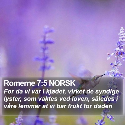 Romerne 7:5 NORSK Bible Verse Image