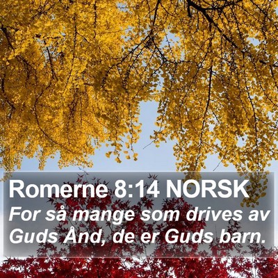Romerne 8:14 NORSK Bible Verse Image