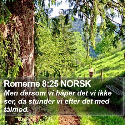 Romerne 8:25 NORSK Bible Verse Image