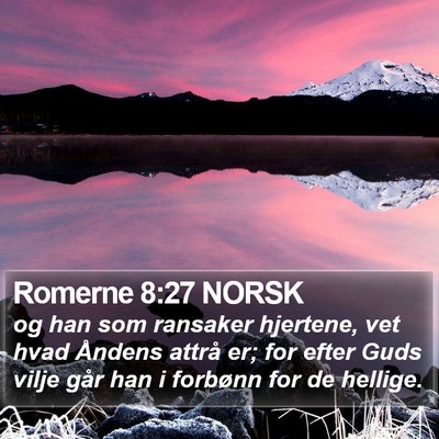 Romerne 8:27 NORSK Bible Verse Image