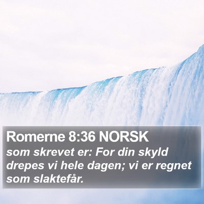 Romerne 8:36 NORSK Bible Verse Image