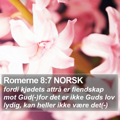 Romerne 8:7 NORSK Bible Verse Image