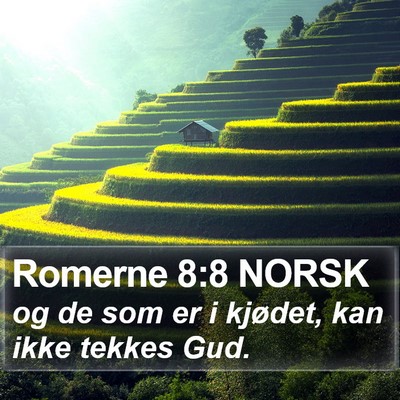 Romerne 8:8 NORSK Bible Verse Image