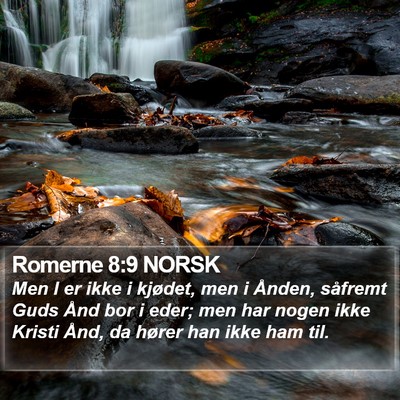 Romerne 8:9 NORSK Bible Verse Image