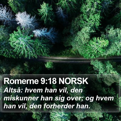 Romerne 9:18 NORSK Bible Verse Image