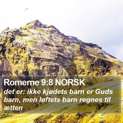 Romerne 9:8 NORSK Bible Verse Image