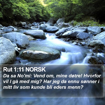 Rut 1:11 NORSK Bible Verse Image