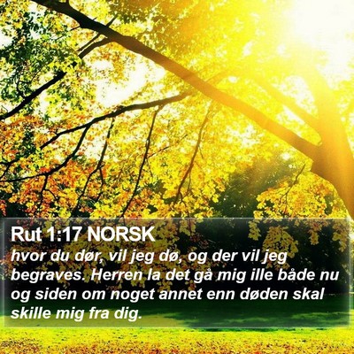 Rut 1:17 NORSK Bible Verse Image