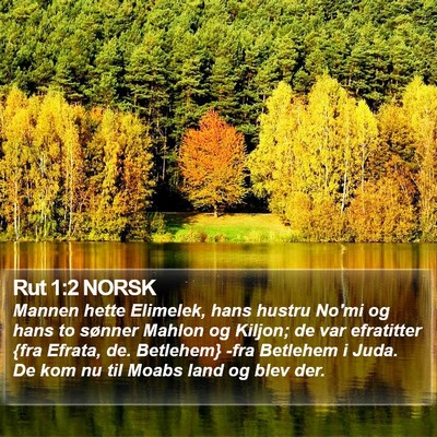 Rut 1:2 NORSK Bible Verse Image