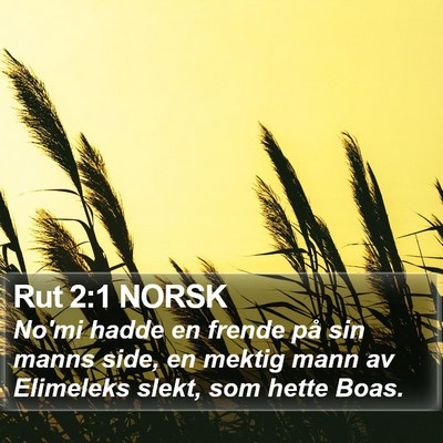 Rut 2:1 NORSK Bible Verse Image