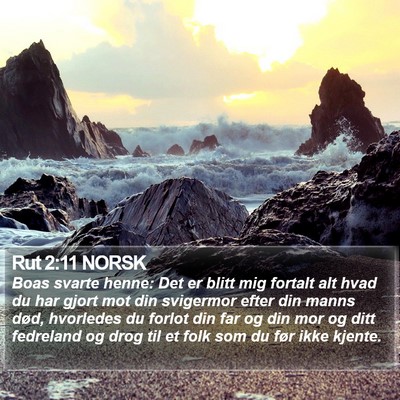 Rut 2:11 NORSK Bible Verse Image