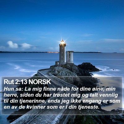 Rut 2:13 NORSK Bible Verse Image