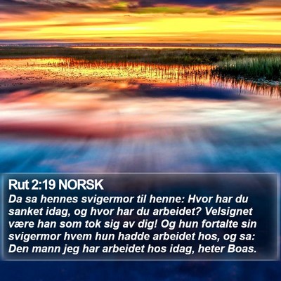 Rut 2:19 NORSK Bible Verse Image