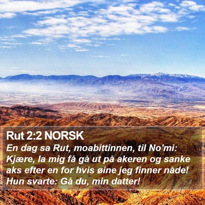 Rut 2:2 NORSK Bible Verse Image