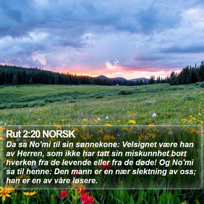 Rut 2:20 NORSK Bible Verse Image