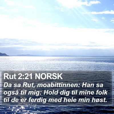 Rut 2:21 NORSK Bible Verse Image