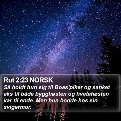 Rut 2:23 NORSK Bible Verse Image