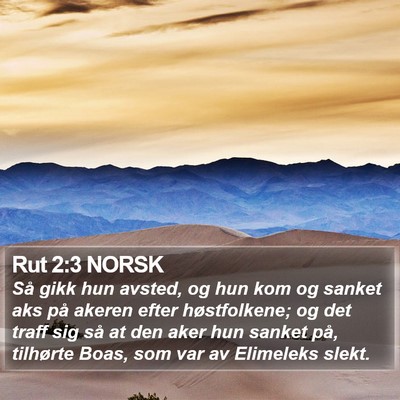 Rut 2:3 NORSK Bible Verse Image