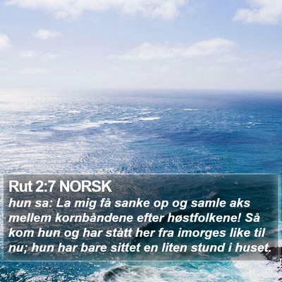 Rut 2:7 NORSK Bible Verse Image