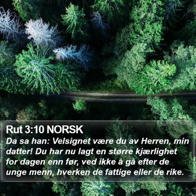 Rut 3:10 NORSK Bible Verse Image