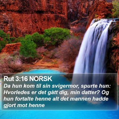 Rut 3:16 NORSK Bible Verse Image