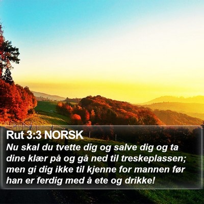 Rut 3:3 NORSK Bible Verse Image