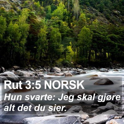 Rut 3:5 NORSK Bible Verse Image