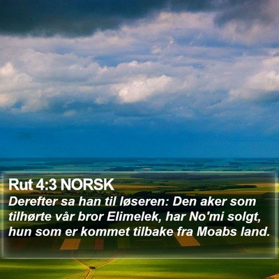 Rut 4:3 NORSK Bible Verse Image