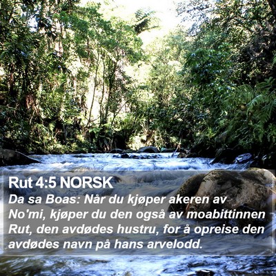 Rut 4:5 NORSK Bible Verse Image
