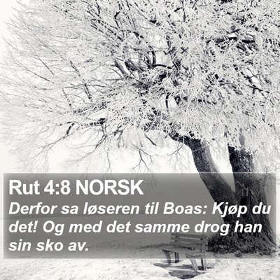 Rut 4:8 NORSK Bible Verse Image
