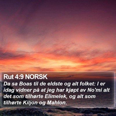 Rut 4:9 NORSK Bible Verse Image