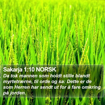 Sakarja 1:10 NORSK Bible Verse Image